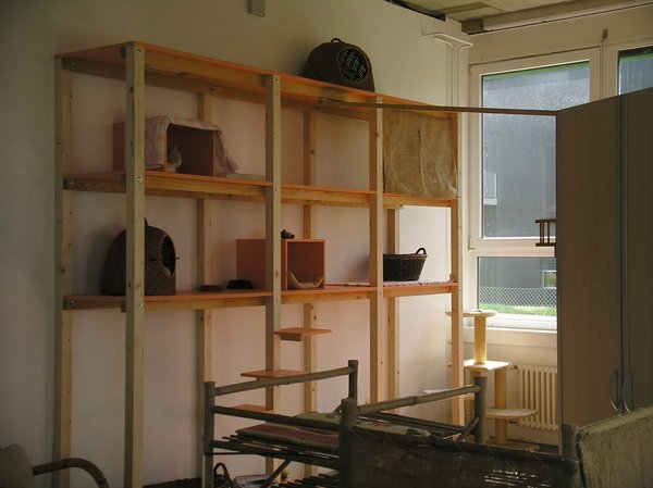 Die hellen schönen Innenräume der Katzenpension mit verschiedenen Schlaf und Liegeplätzen : Innenraum,Katzenpension,Katzenheim,Katzenferien,Katzenhotel,Tierheim,Wyland,Ossingen,Winterthur,Frauenfeld,Schaffhausen,Stein am Rhein,Henggert,Neunforn,Wilen,Kanton,Zürich,Thurgau,Dachsen,Uhwiesen,Oerlingen,Andelfingen,Neftenbach,Flach,